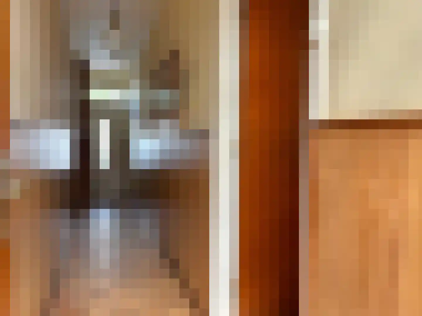 Landstraat 24 Aardenburg thumbnail 16
