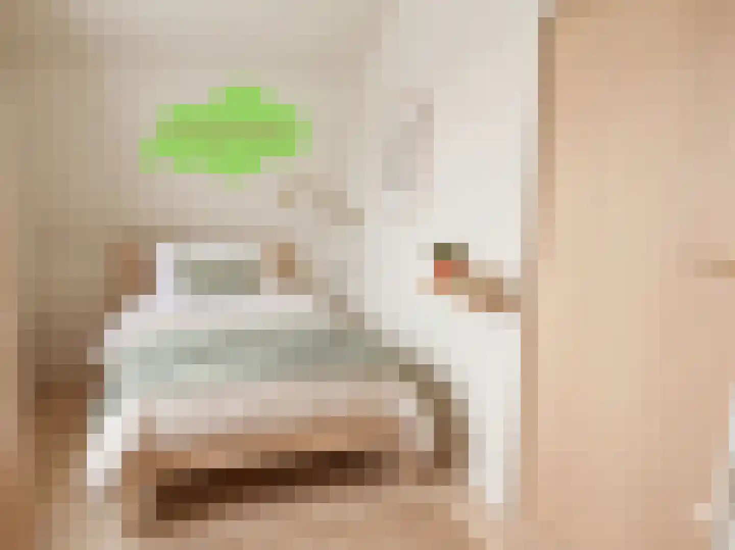 Landstraat 24 Aardenburg thumbnail 25