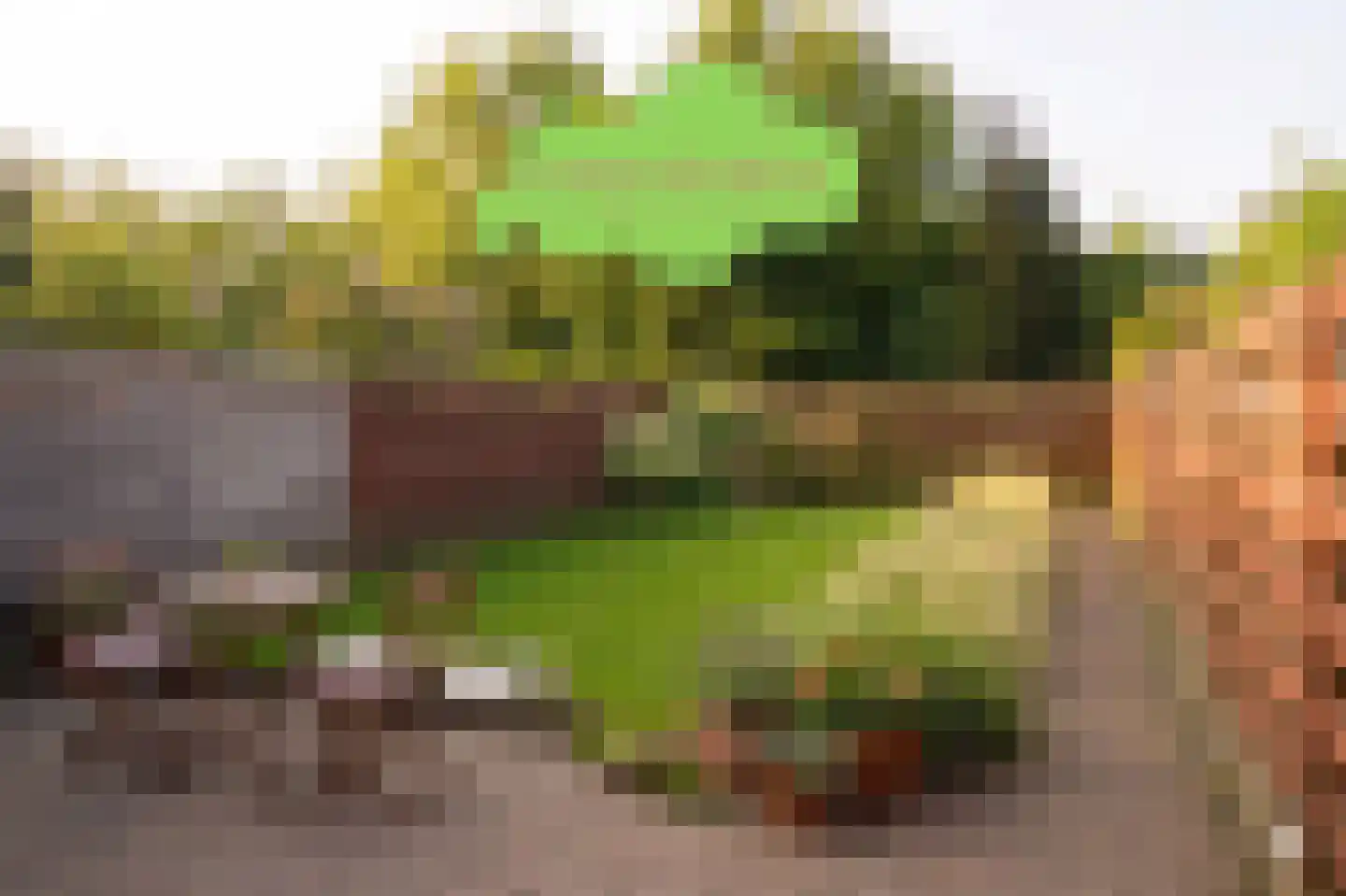 Landstraat 24 Aardenburg thumbnail 31