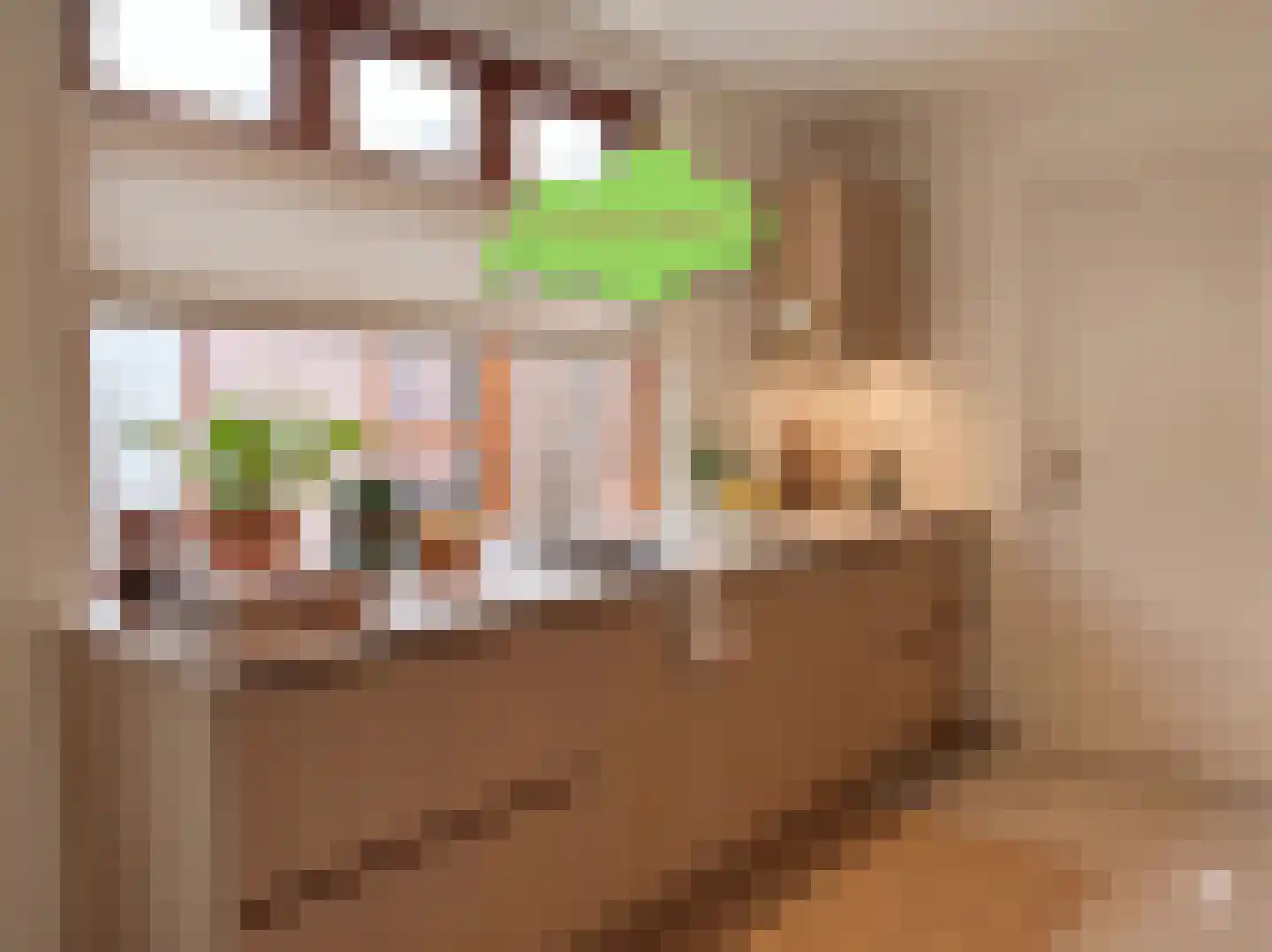 Landstraat 24 Aardenburg thumbnail 7
