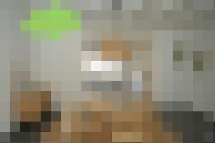 Landstraat 28 Aardenburg thumbnail 10