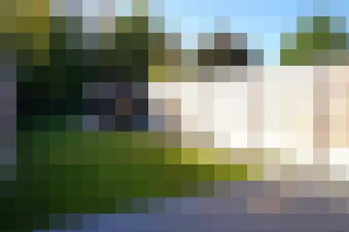 Landstraat 28 Aardenburg thumbnail 36