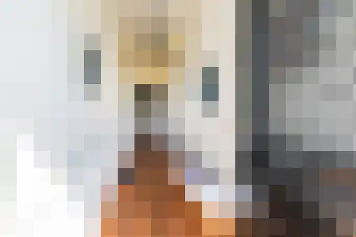 Landstraat 34 Harreveld thumbnail 10