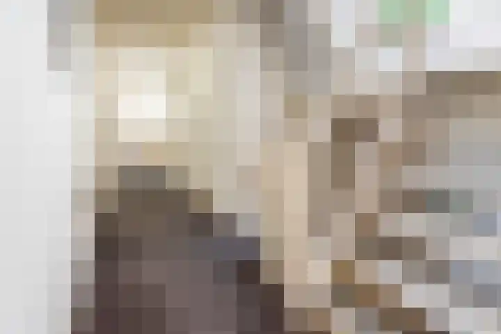 Landstraat 34 Harreveld thumbnail 36