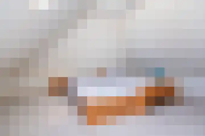 Landstraat 34 Harreveld thumbnail 38