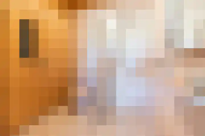Landstraat 34 Harreveld thumbnail 47
