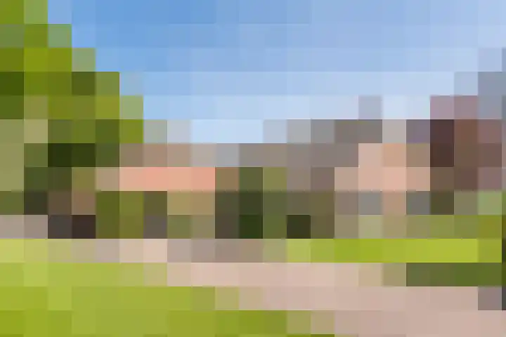 Landstraat 34 Harreveld thumbnail 6