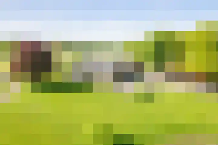 Landstraat 34 Harreveld thumbnail 69