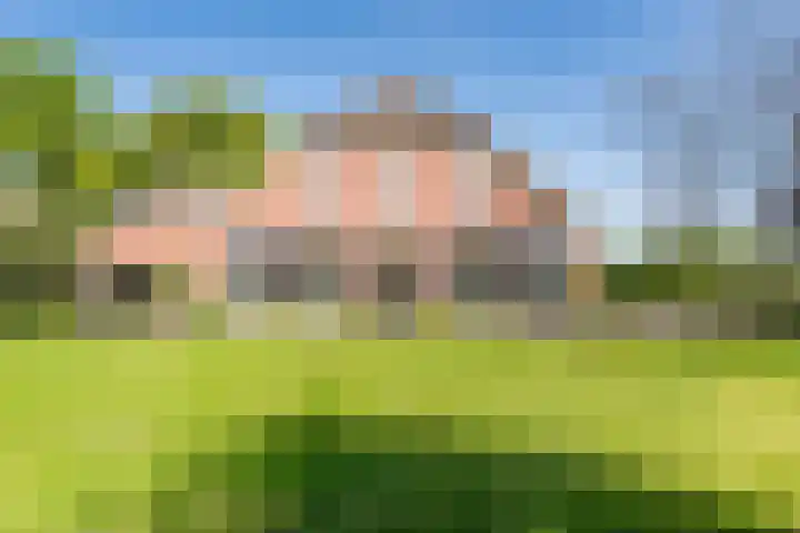 Landstraat 34 Harreveld thumbnail 7