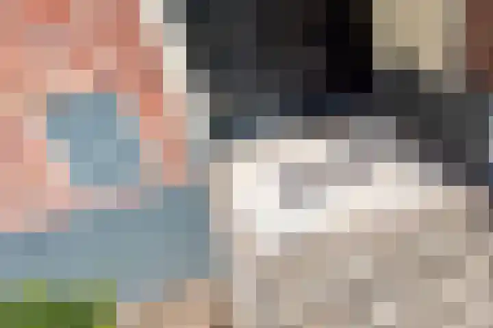 Landstraat 34 Harreveld thumbnail 9