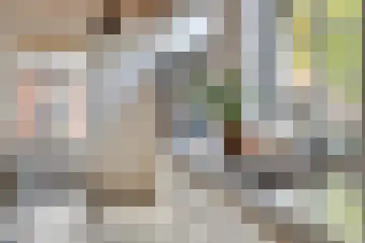 Landstraat 4 Bredevoort thumbnail 18