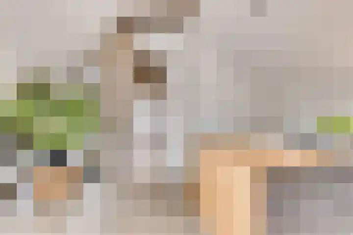 Landstraat 4 Bredevoort thumbnail 25