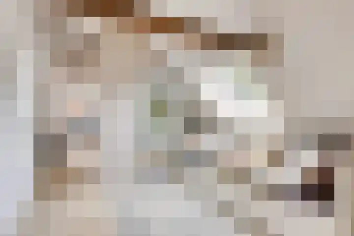 Landstraat 4 Bredevoort thumbnail 27