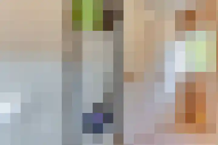 Landstraat 41 Alkmaar thumbnail 20