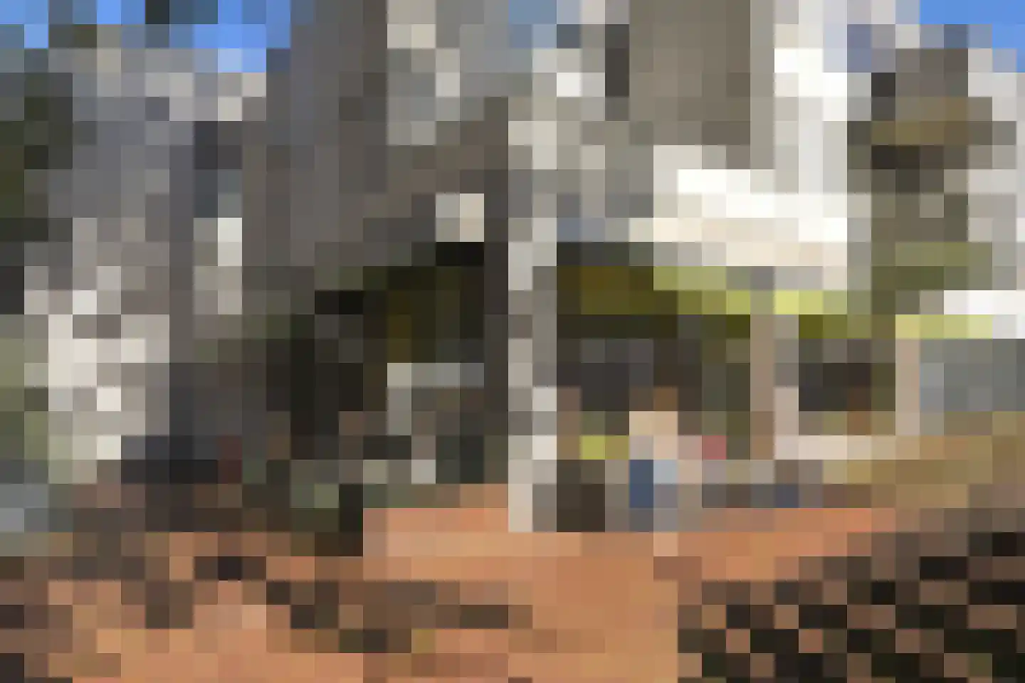 Landstraat 45 Bussum thumbnail 43