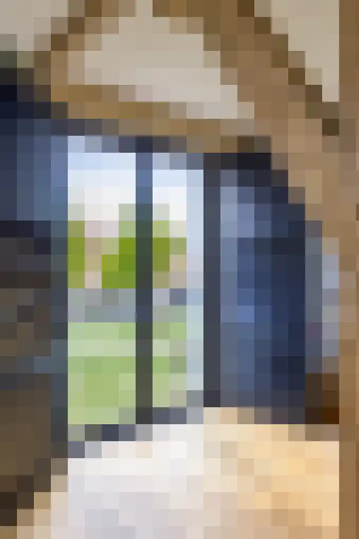 Landstraat 54 B Vlaardingen thumbnail 31