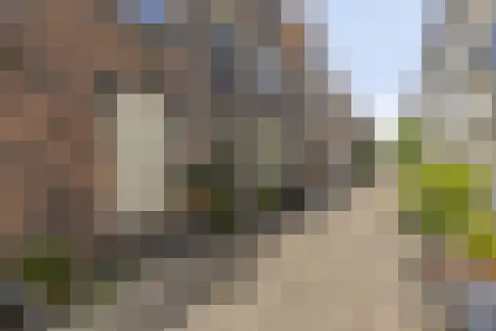 Landstraat 54 B Vlaardingen thumbnail 6