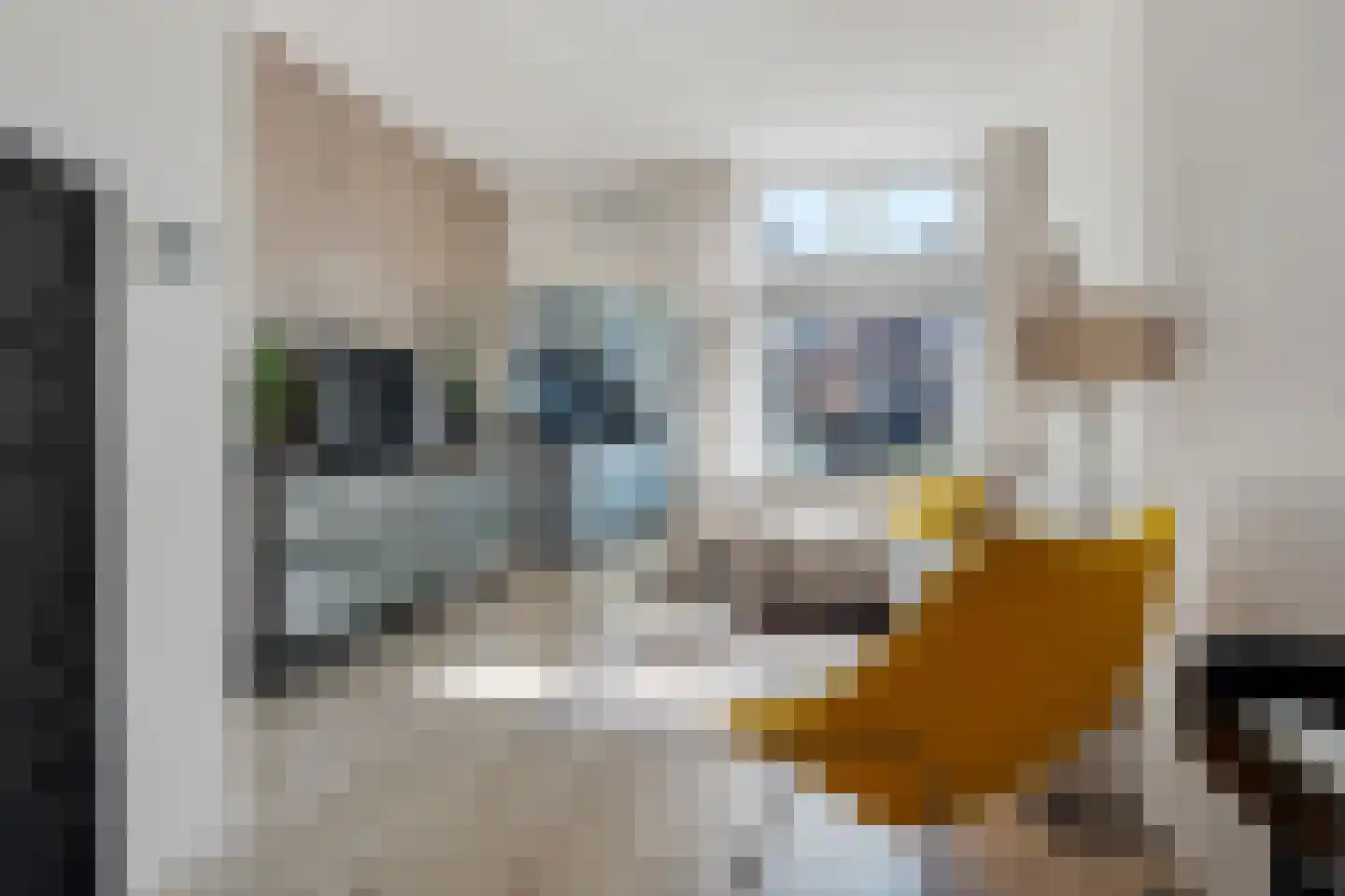 Landstraat 59 Alkmaar thumbnail 8