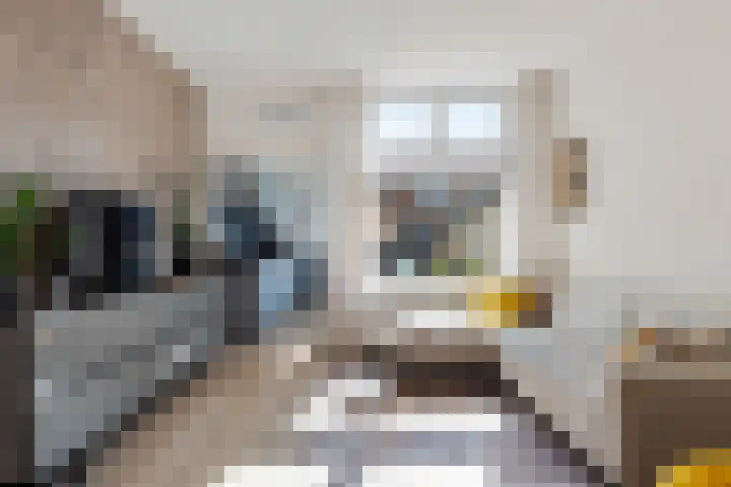 Landstraat 59 Alkmaar thumbnail 9
