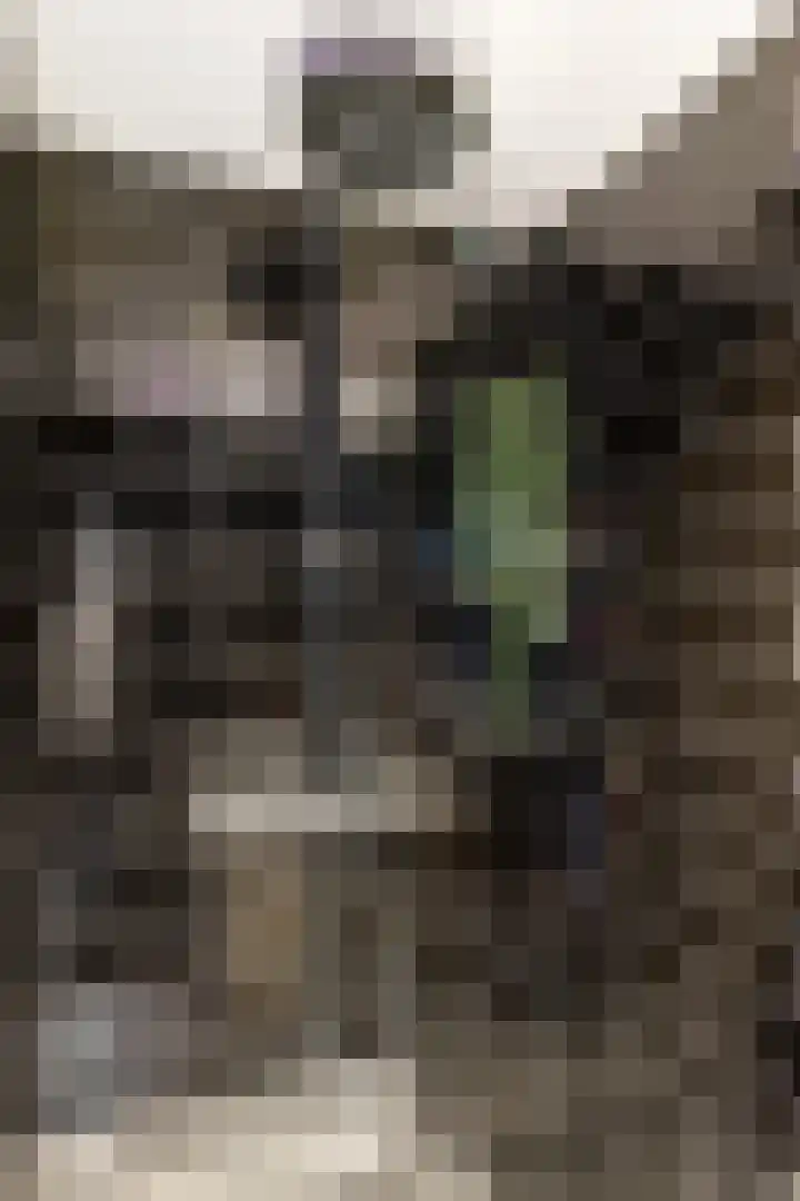 Landstraat 6 Groningen thumbnail 32