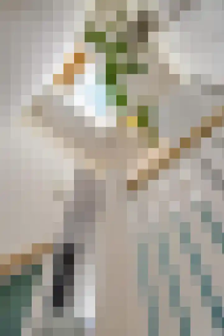 Landstraat 6 Groningen thumbnail 34