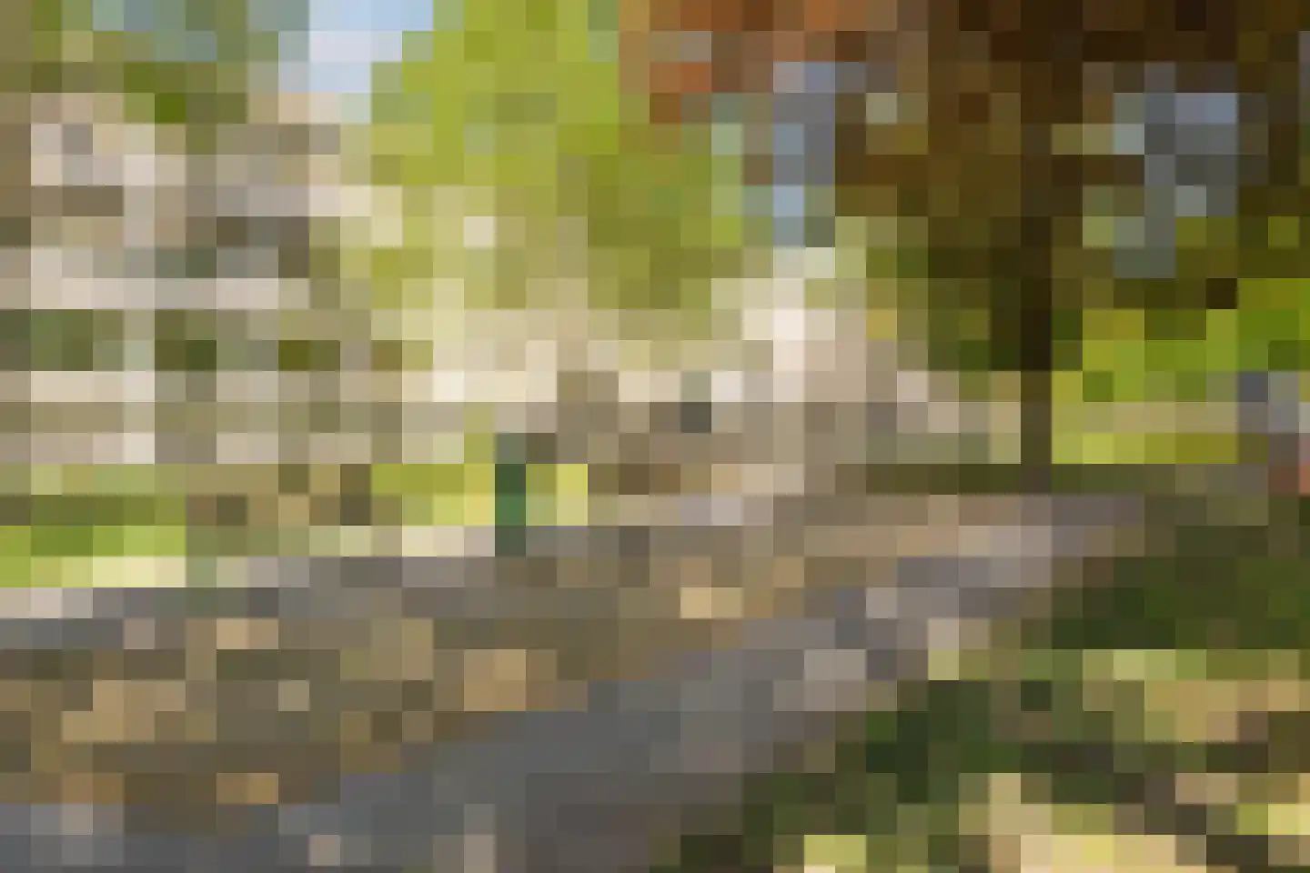 Landstraat 64 Bussum thumbnail 26