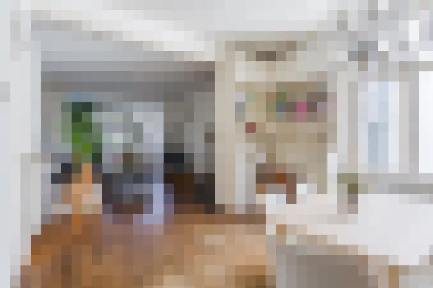 Landstraat 64 Bussum thumbnail 8