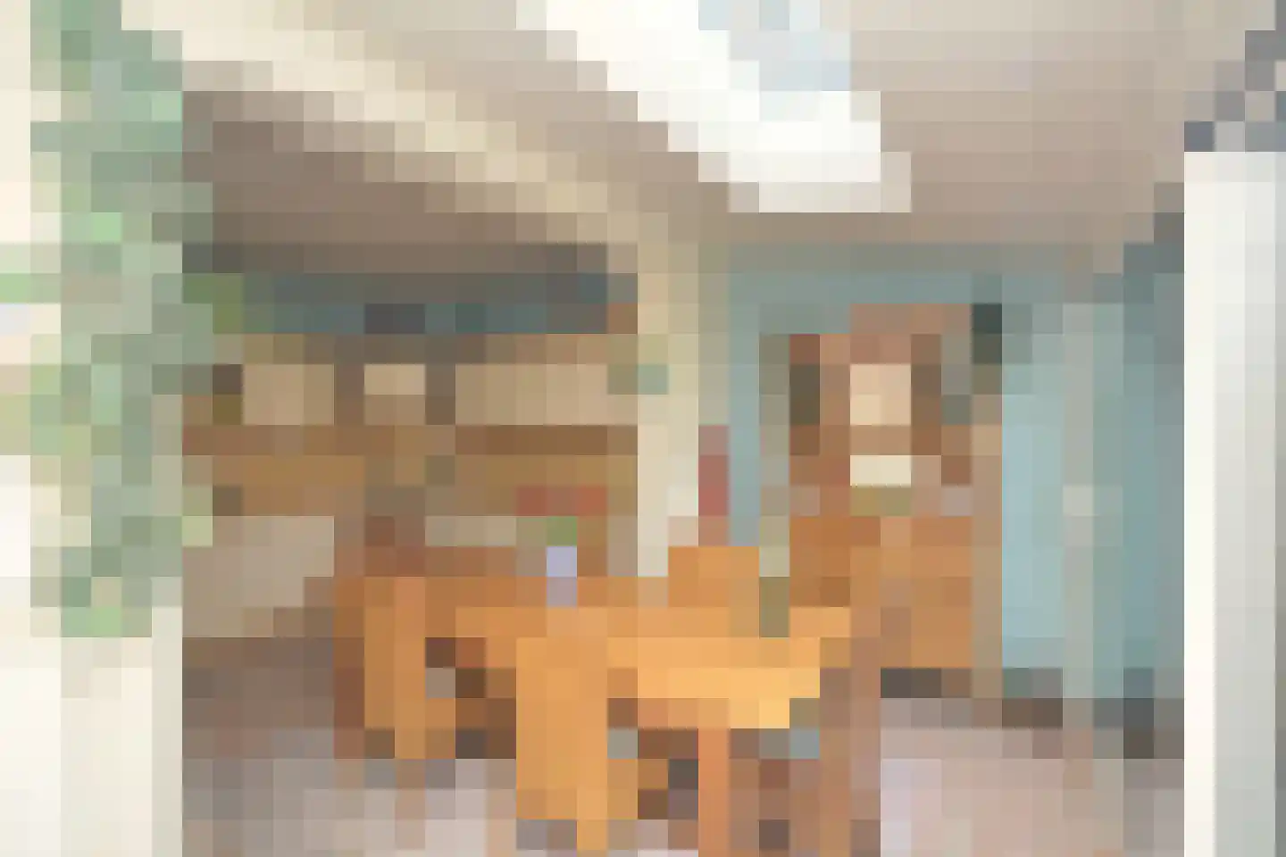 Landstraat 7 Aardenburg thumbnail 17