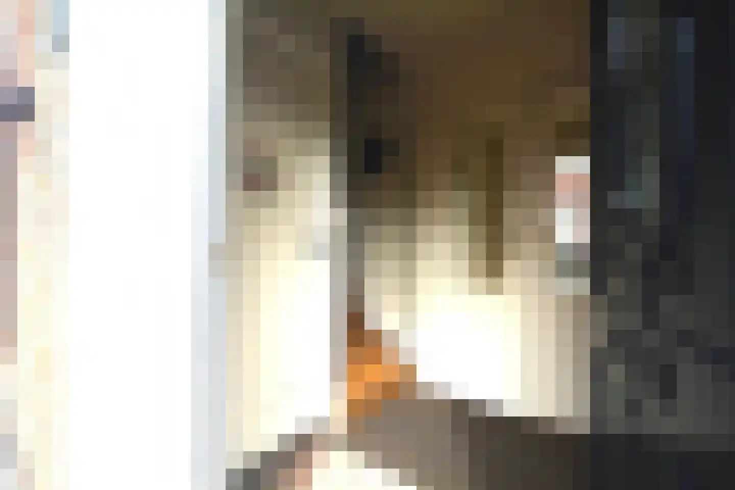 Landstraat 7 Aardenburg thumbnail 20