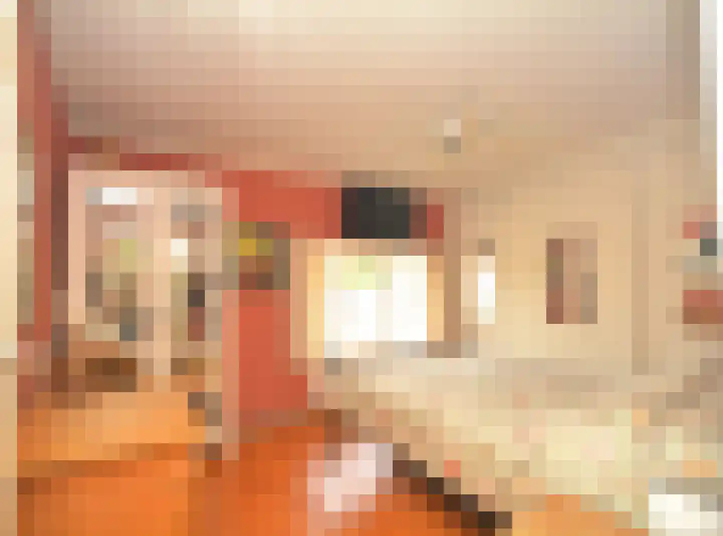 Landstraat 7 Aardenburg thumbnail 22