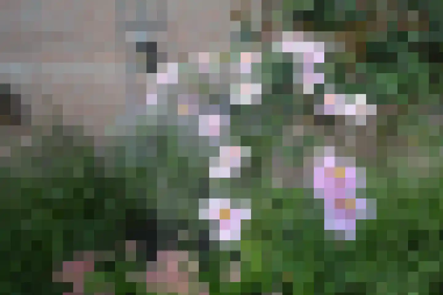 Landstraat 7 Aardenburg thumbnail 33
