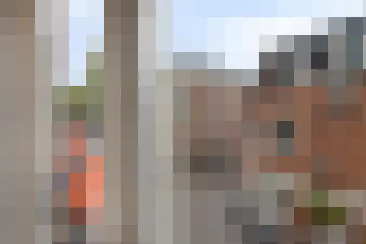 Landstraat 8 05 Aalten thumbnail 17