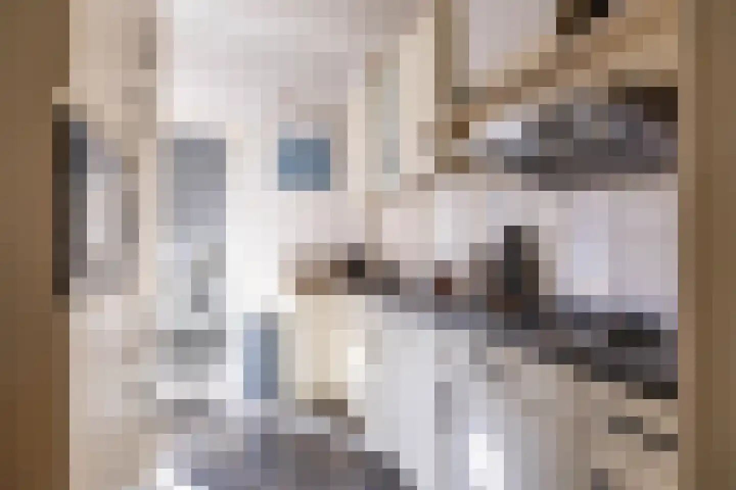 Landstraat 9 a Groningen thumbnail 29
