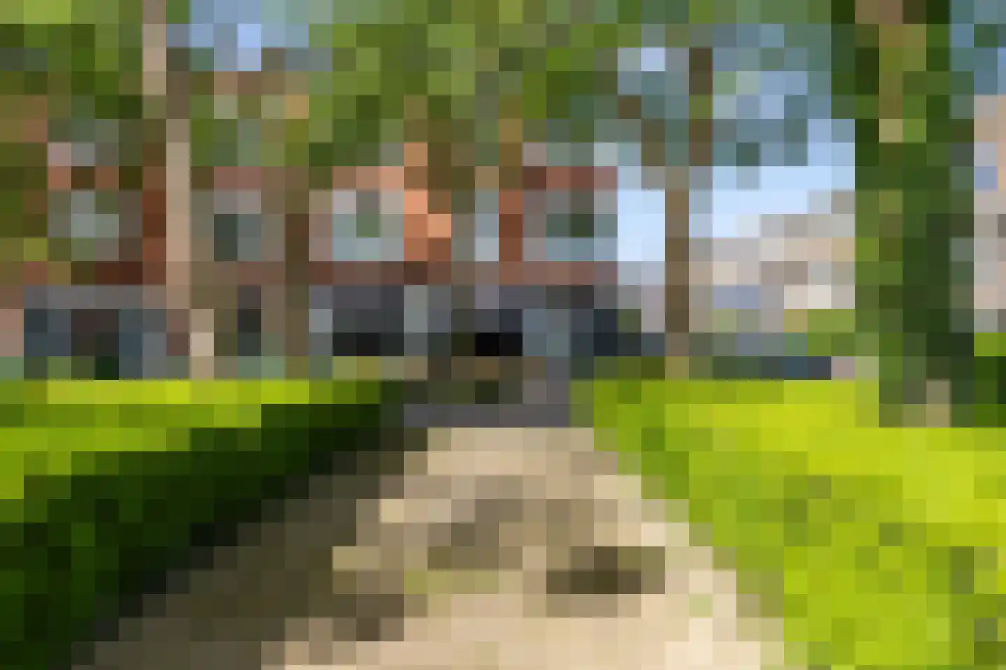 Landstraat 9 a Groningen thumbnail 42