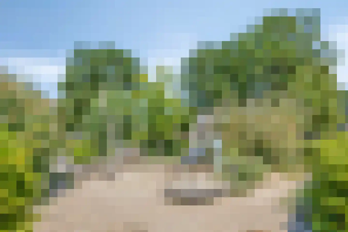 Landstrekenlaan 110 's-Hertogenbosch thumbnail 22