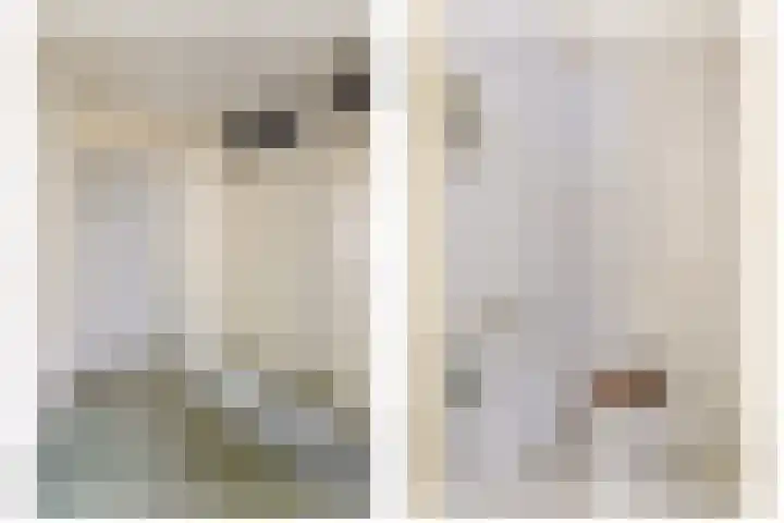 Landszoom 12 Krimpen aan den IJssel thumbnail 10