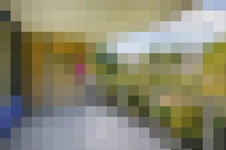 Landszoom 12 Krimpen aan den IJssel thumbnail 18