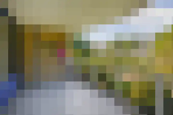 Landszoom 12 Krimpen aan den IJssel foto 2