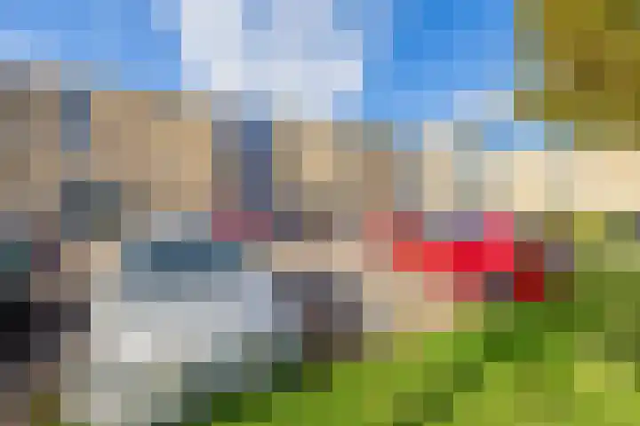 Landszoom 12 Krimpen aan den IJssel thumbnail 29