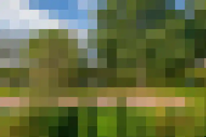 Landszoom 12 Krimpen aan den IJssel foto 3
