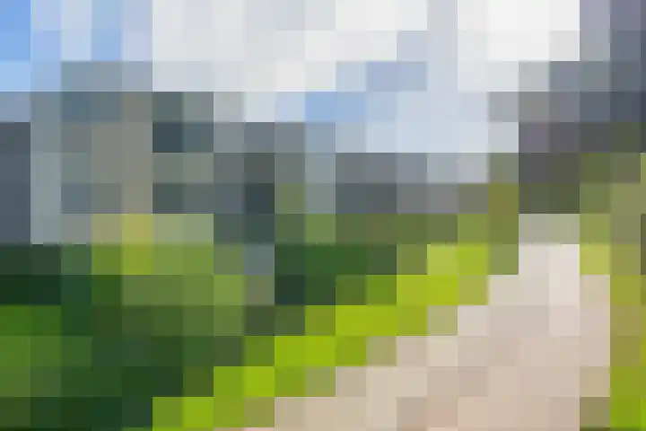 Landszoom 12 Krimpen aan den IJssel thumbnail 33