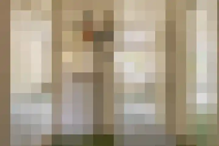 Landszoom 12 Krimpen aan den IJssel thumbnail 9