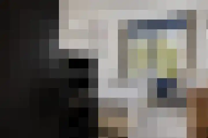 Landszoom 20 Krimpen aan den IJssel thumbnail 15