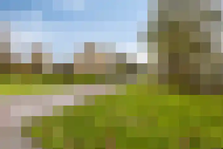 Landszoom 20 Krimpen aan den IJssel thumbnail 26