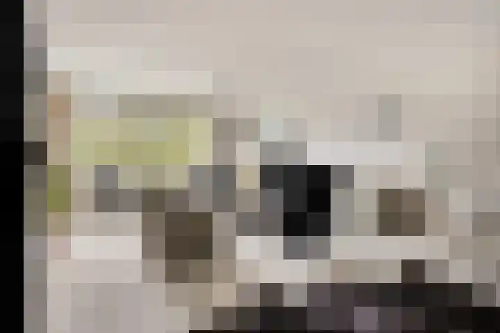 Landszoom 20 Krimpen aan den IJssel thumbnail 4