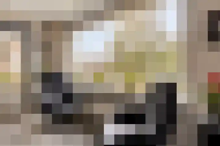 Landszoom 20 Krimpen aan den IJssel thumbnail 5