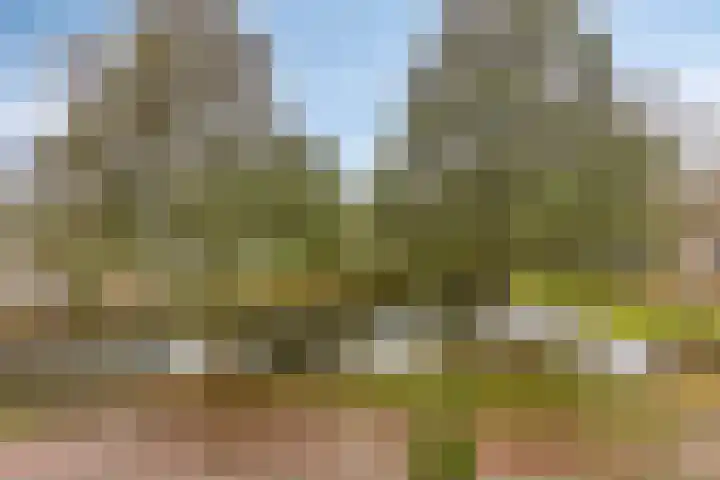 Landszoom 20 Krimpen aan den IJssel thumbnail 8