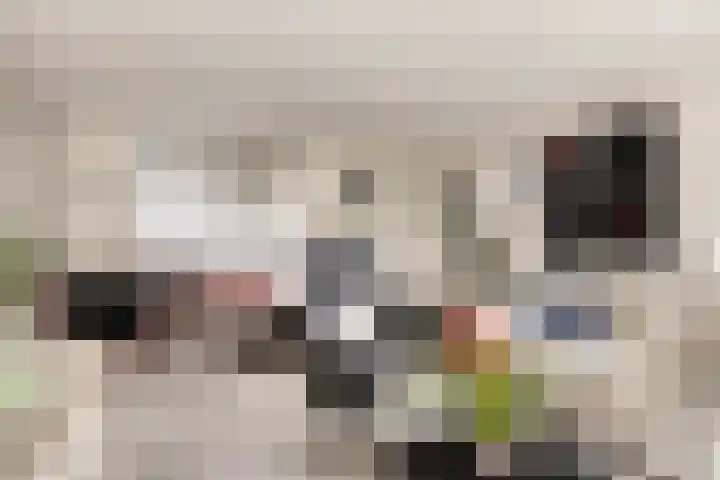 Landszoom 20 Krimpen aan den IJssel thumbnail 9