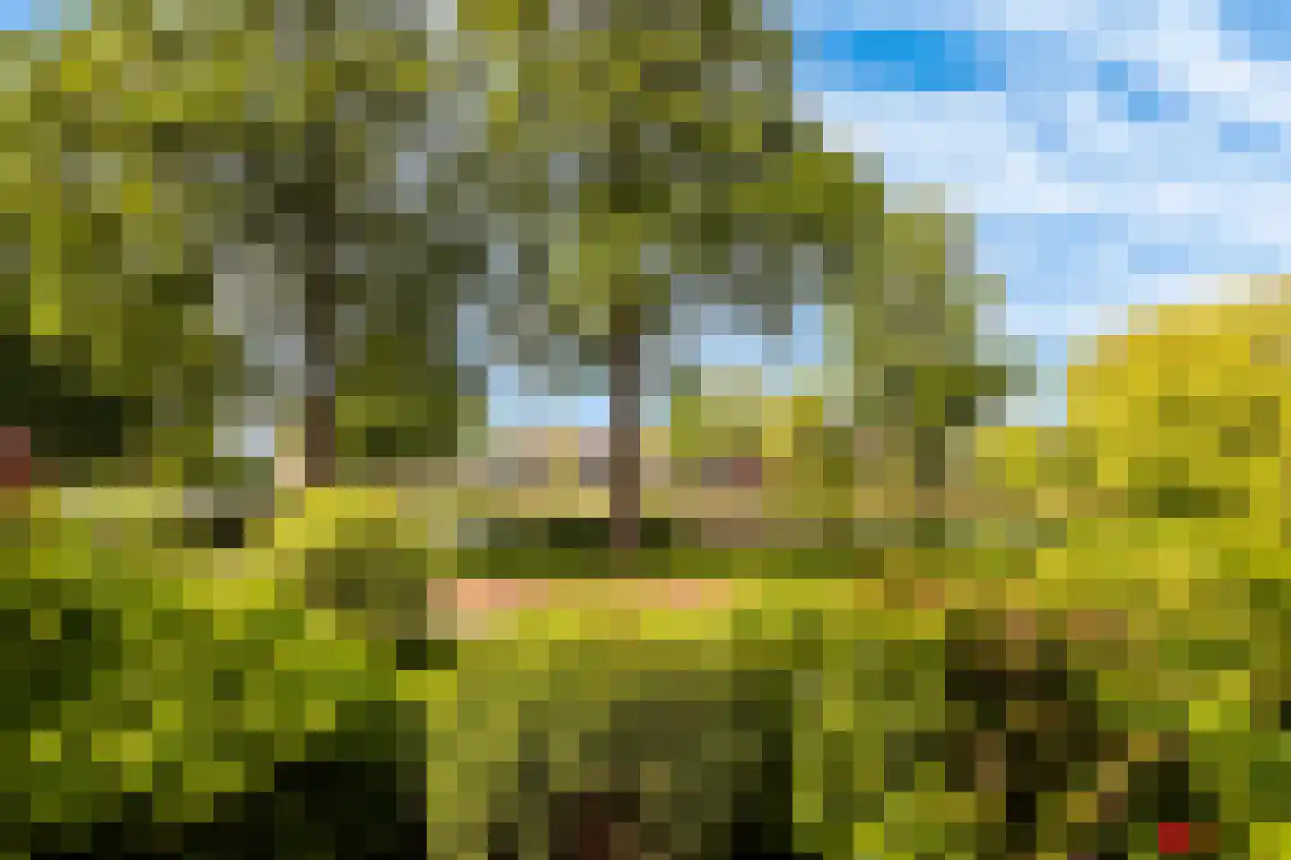 Landszoom 35 Krimpen aan den IJssel thumbnail 10