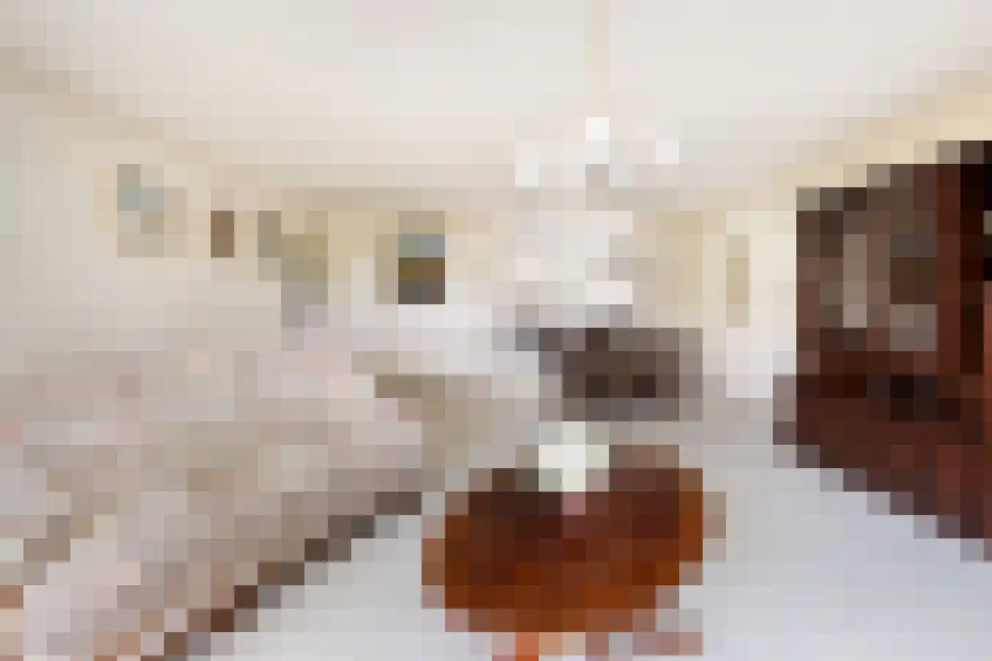 Landszoom 35 Krimpen aan den IJssel thumbnail 12